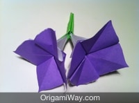 How To Make Origami Flowers