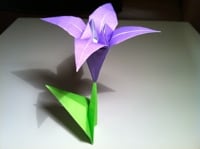 Origami Lily Instructions Learn How To Make One