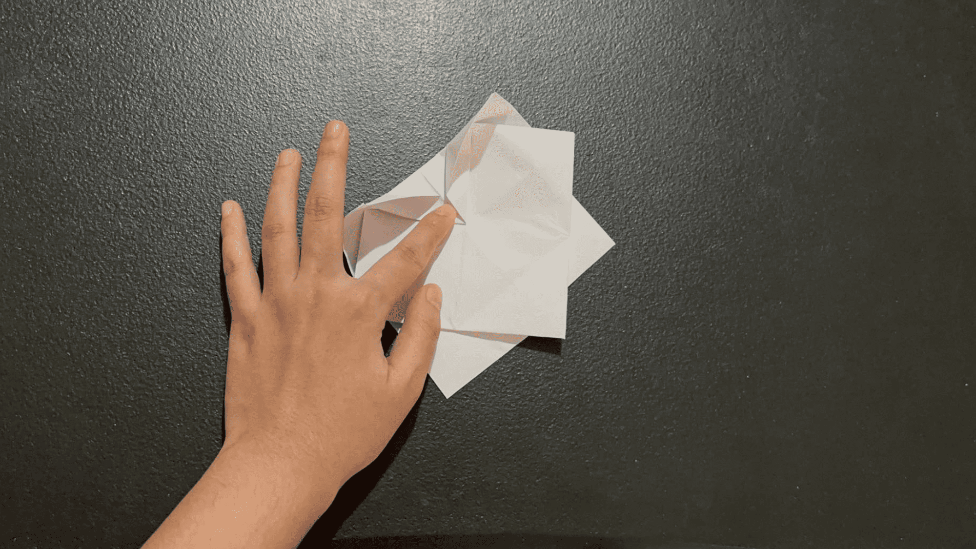 Origami Lotus Blossom Instructions Step 8.1