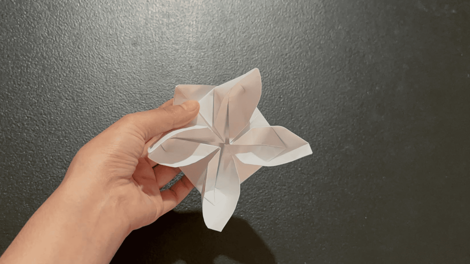 Origami Lotus Blossom Instructions Step 9.1