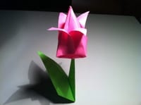 Origami Tulip Instructions and Diagram