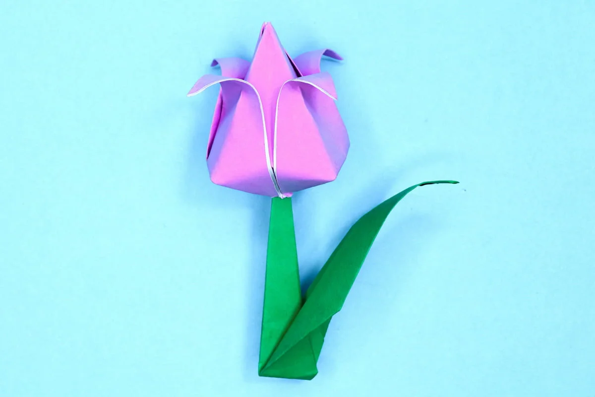 Tulip origami step 31