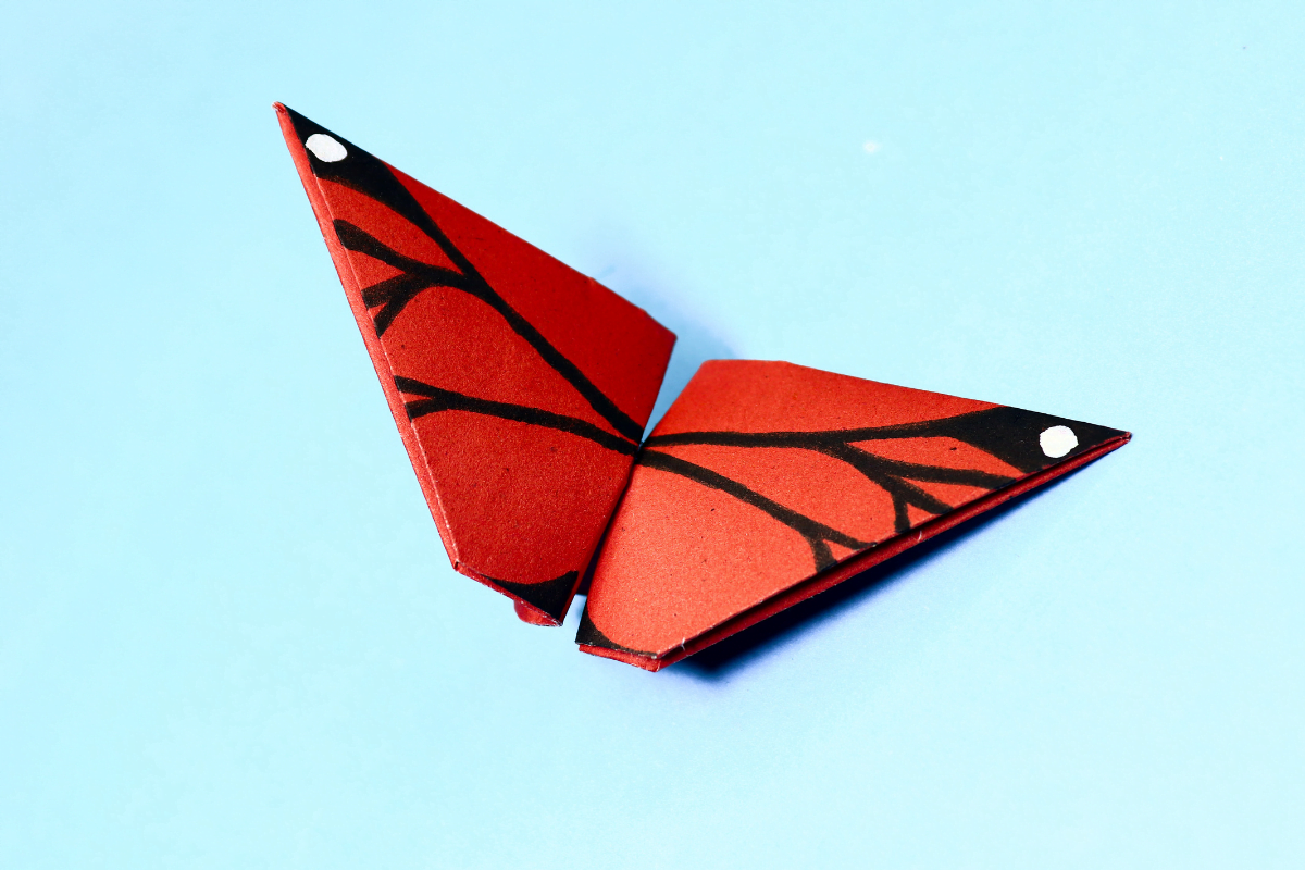 Flapping butterfly final step