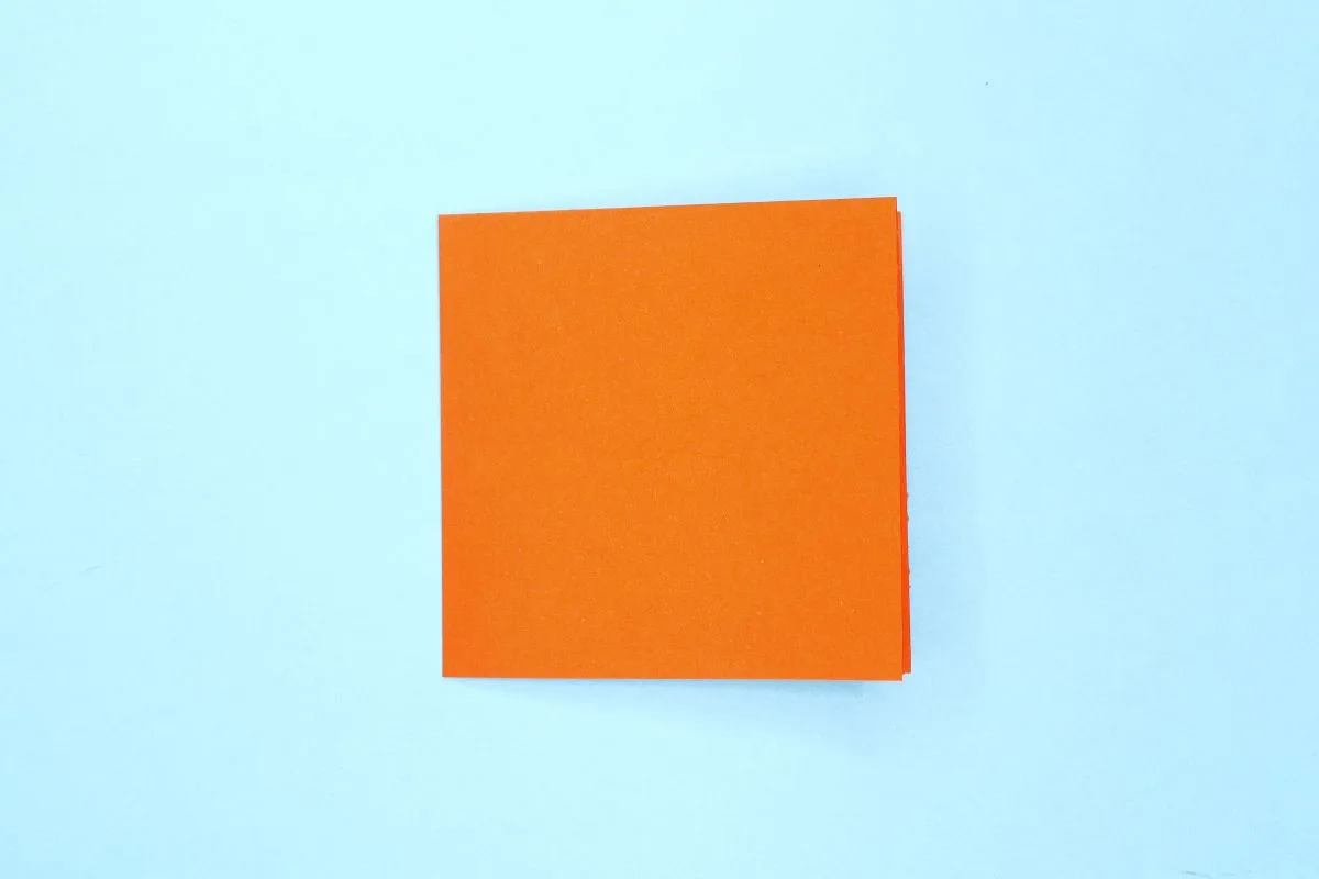 Squash fold step 03