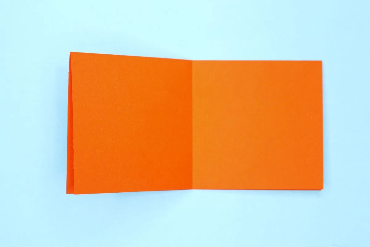 Squash fold step 04