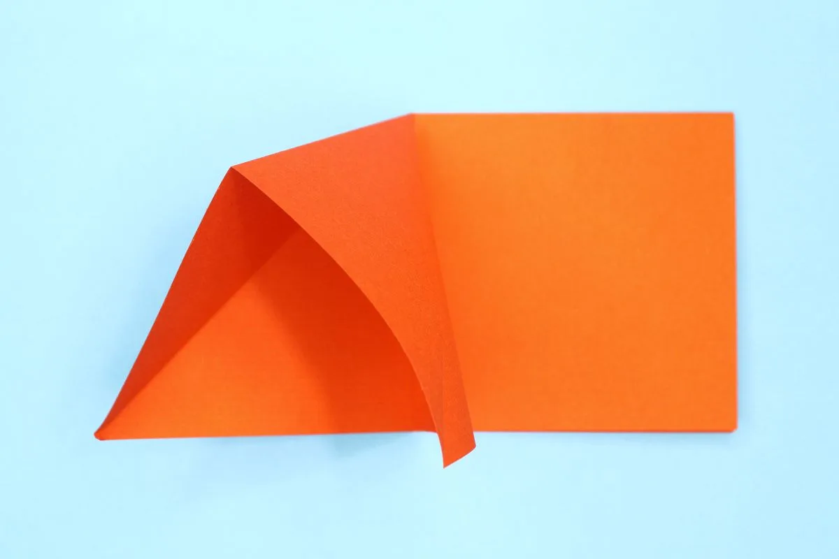 Squash fold step 08