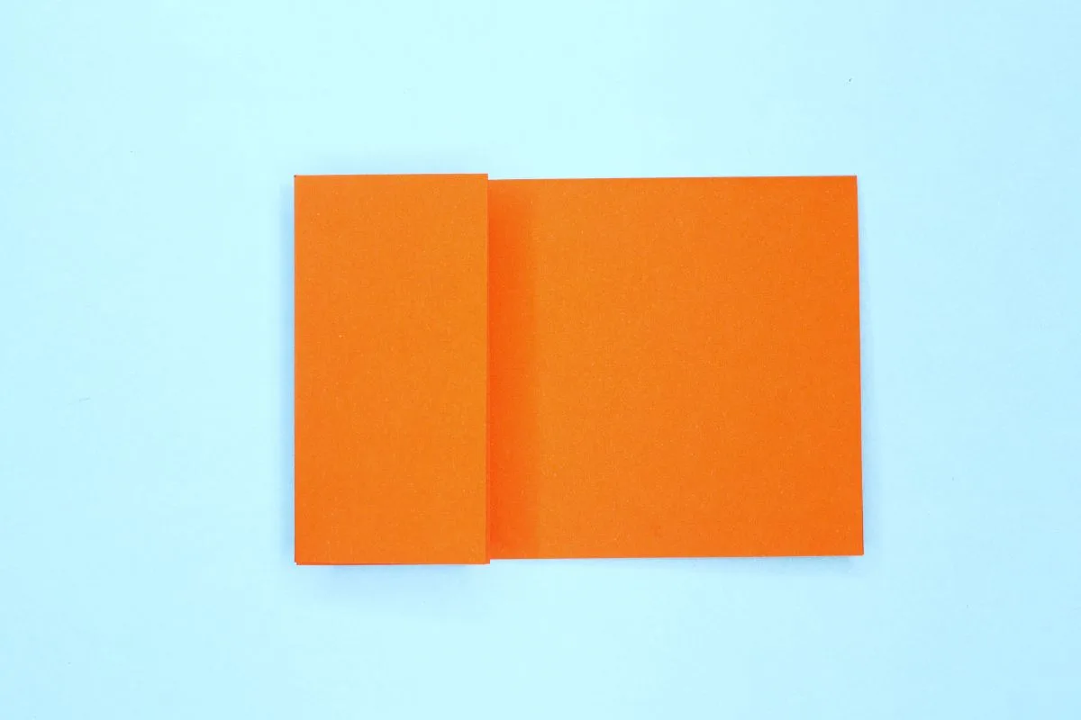 Squash fold2 step 02