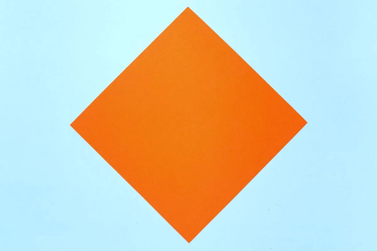 Squash fold3 step 02