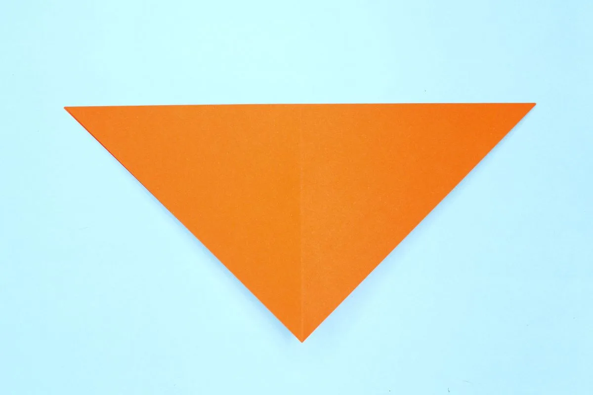 Squash fold3 step 05