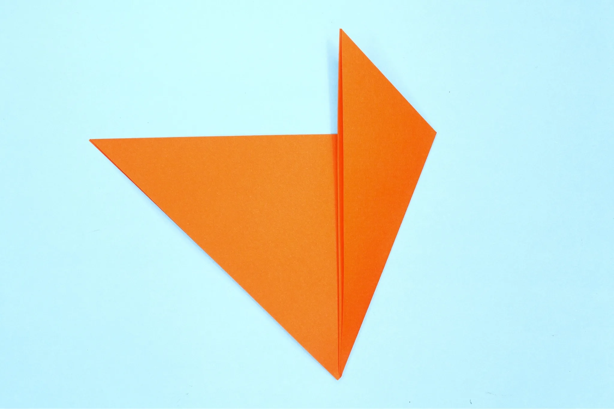Squash fold3 step 06
