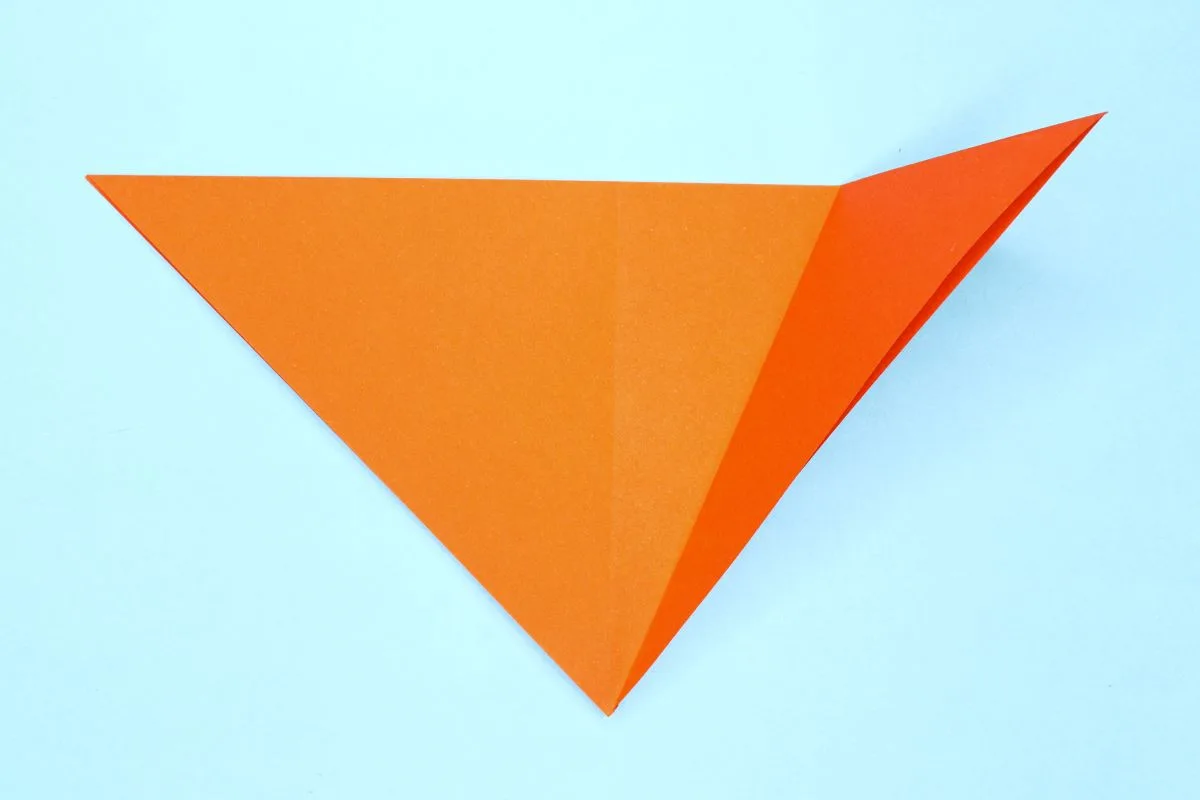 Squash fold3 step 07