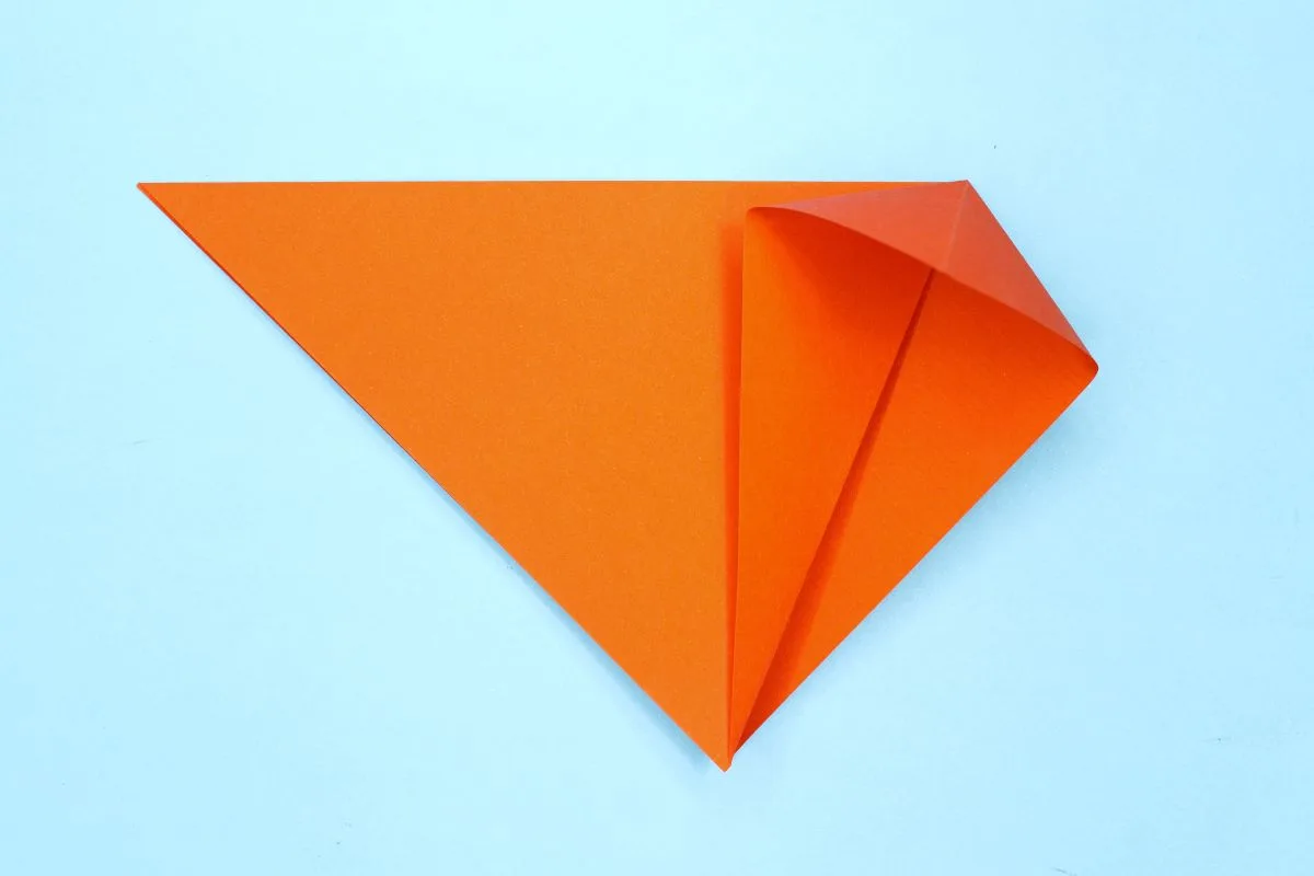 Squash fold3 step 09
